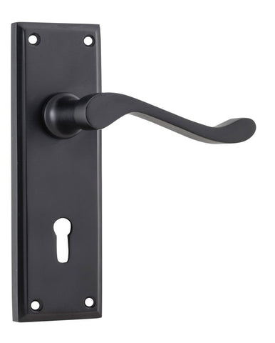TRADCO CAMDEN DOOR LEVER HANDLE ON RECTANGULAR BACKPLATE