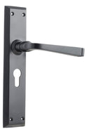 TRADCO MENTON LEVER DOOR HANDLE ON LONG BACKPLATE - CUSTOMISE TO YOUR NEEDS