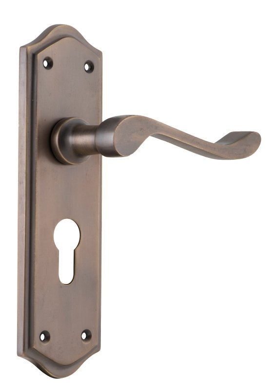 TRADCO HENLEY LEVER DOOR HANDLE ON SHOULDERED BACKPLATE