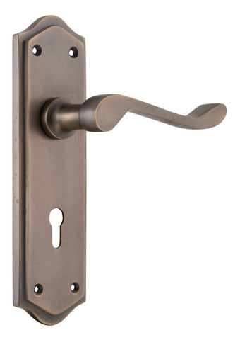 TRADCO HENLEY LEVER DOOR HANDLE ON SHOULDERED BACKPLATE